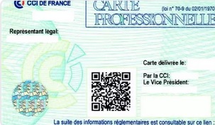 carte pro immobilier